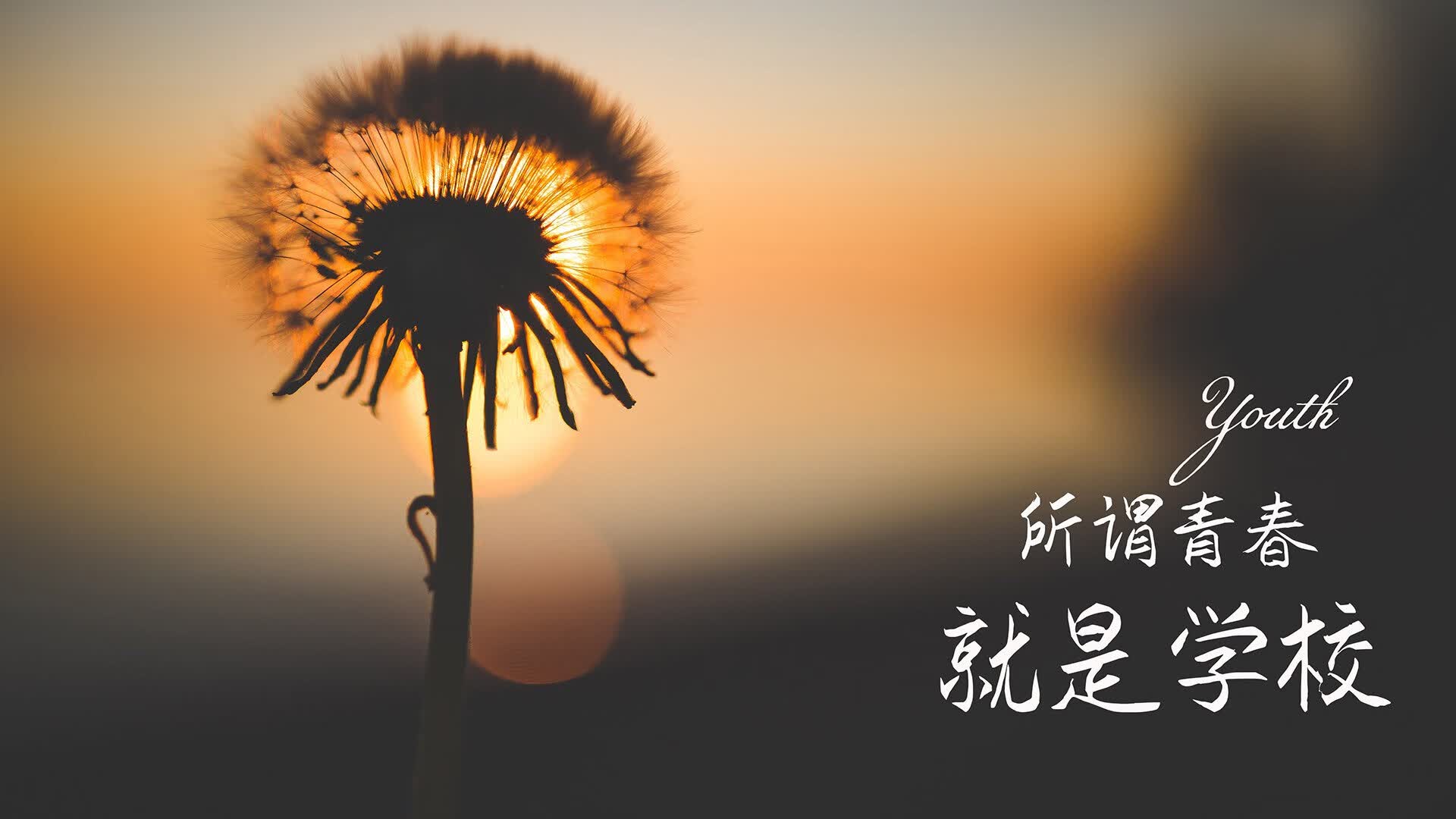 小米换机有线传输（小米换机能用数据线吗）
